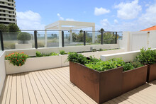 A Home Garden Using Planters On An Outdoor Raised Terrace At A Condo, With Vegetables And Herbs.