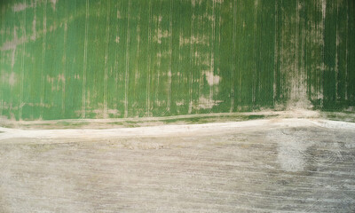 Sticker - Brown and green agricultural field