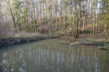 Fototapete - Teich in der Rückersbacher Schlucht