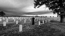 Custer National Cemetery In Black And White