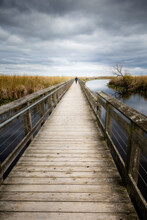 Beautiful View Of Of The Marsh And Boardwalk In Point Pelee