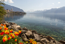 Bord De Lac à Montreux