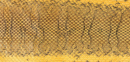 Wall Mural - Brown snake skin texture, as background. Natural reptile leather.