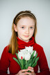 © Анна Молько - beautiful little girl in a red sweater on a white background with a bouquet of tulips. congratulations on mother's day