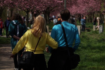 group of people in yellow and blue shirt walking in park with sakura