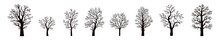 Trees Without Leaves. Silhouettes Of Trees With Branches Of 8 Pieces On A White Background In A Vector On A White Background. Oak, Maple, Fruit Trees. Flora. Vector Illustration. Set Of Trees.