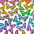 rainbow butterflies seamless color pattern