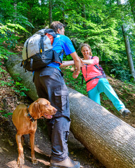 Wall Mural - Erlebniswanderung mit Hund, gemeinsam alle Hindernisse überwinden