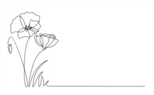 Poppy Flowers In Continuous Line Art Drawing Style. Minimalist Black Linear Design Isolated On White Background. Vector Illustration