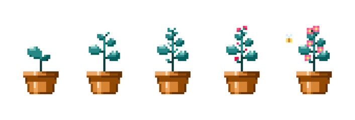 Canvas Print - Pixel art plat growth stages. Vintage 90s gaming 8 bit icon set of flower growth process. Vector pixel plant in flower pot game isolated patterns.	