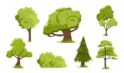 Set of trees
