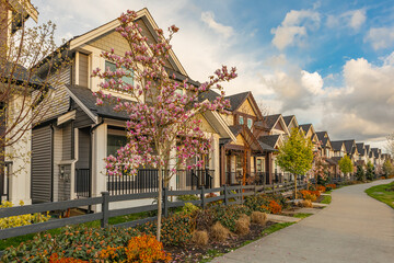 Neighborhood modern houses with spring flowers in BC, Canada. Canadian modern residential architecture.