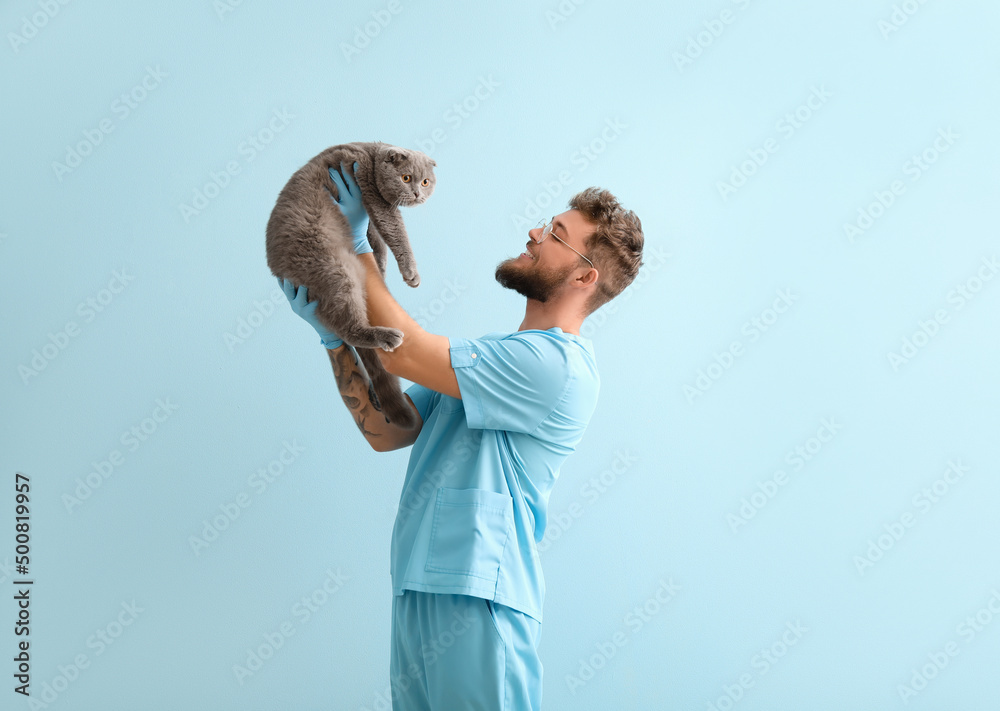 Male veterinarian with Scottish fold cat on color background