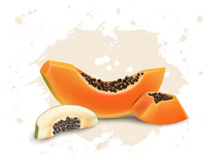 Papaya Fruit vector illustration with papaya slices and seeds