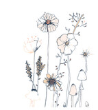 Fototapeta Dmuchawce - Kwiatki łąka kwietna lato wiosna wzory kolory