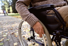 Disabled Senior Man Sitting In Wheelchair At Park