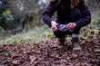 © Westend61 - Young woman picking up plastic bottle in forest