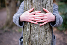 Young Woman Hugging Tree Trunk In Forest