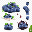 3D realistic blueberry set, lying heaps of berries with leaves, falling bilberries, splash of milk or yogurt, splash of juice with berries
