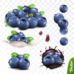 3d realistic blueberry set, lying heaps of berries with leaves, falling bilberries, splash of milk o