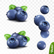 3D realistic blueberry set, two lying heaps of berries with leaves, falling bilberries