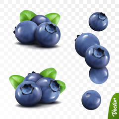 3d realistic blueberry set, two lying heaps of berries with leaves, falling bilberries
