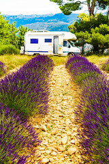 caravan camping at lavender field, france