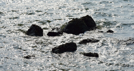 Rock at sea with surf background