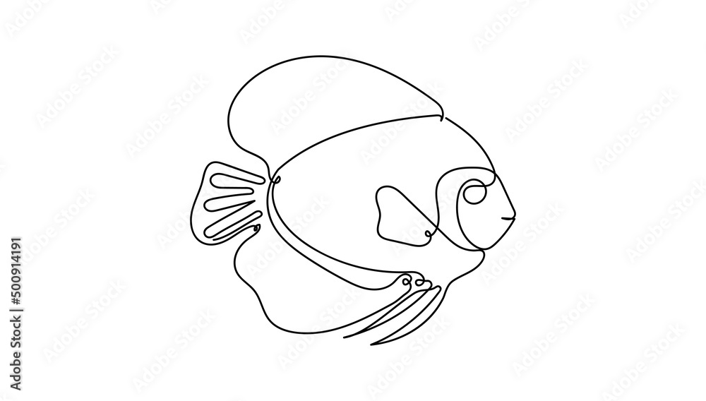 Continuous line art drawing of discus fish Stock Vector | Adobe Stock