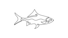 Abstract Fish In Continuous Line Art Drawing