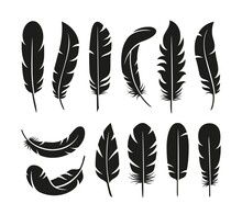 Black Feathers Logo. Fluffy Feather, Bird Plumage Silhouettes. Isolated Flat Smooth Cut Stencil, Soft Wings Elements Tidy Vintage Vector Symbols