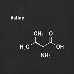 Valine (l-valine, Val, V) amino acid, chemical structure