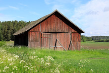 Typical Finnish Red Wooden Barn At The Edge Of Field On A Sunny Day Of Summer. Finnish Barns Are Usually Grey Or Red. 