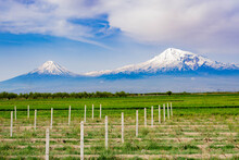A Beautiful Mountain With Snowy Peaks. Mount Ararat