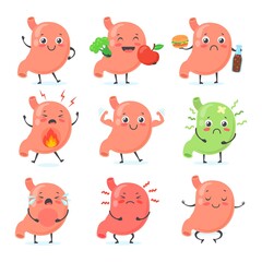 Wall Mural - Stomach mascot. Stomaches medical character cute face healthy abdomen, crying gastric pain ulcera gut happy strong belly unhealthy food nutrition, neat medicine vector illustration