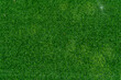 Leinwandbild Motiv Top view artificial grass  field background texture, shot from above. abstract background.