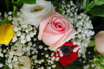 Wall Mural - floral arrangement with roses, detail