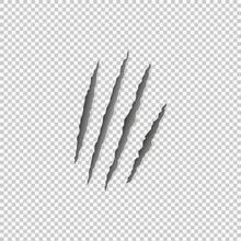 Claw Marks Of A Beast On A Transparent Background. Vector EPS 10