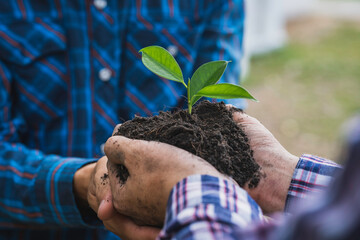 two young men delivering saplings and planting trees, volunteers planting trees on world environment