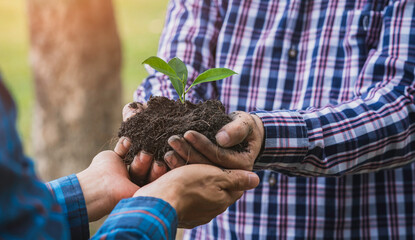 two young men delivering saplings and planting trees, volunteers planting trees on world environment