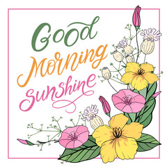 Good morning sunshine text. Handwritten calligraphy text for inspirational posters, concept of a cheer up note to someone to encourage them in a bad day