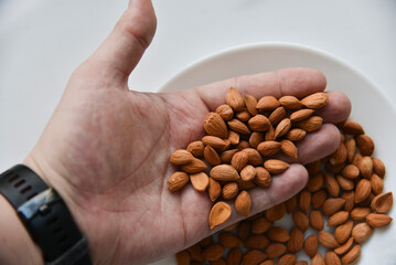 Apricot kernel nuts on a white plate
