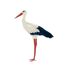 White Stork Or Crane Bird, Vector Icon Or Clipart