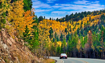 Wall Mural - golden aspens line boulder county, colorado's peak to peak highway on the fall
