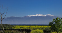 Early Morning View Of The Golan Heights And Mount Hermon  As Seen From Hula Valley, Near Yesood HaMaala Village, Upper Galilee, Israel. 