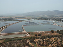 Aerial View Of Fish Ponds, Farmland, Fields, Plantations Of Olives, Kibbutz With Mount Gilboa On Background. Spring Valley Park HaMaayanot Near Beit Shean And Nir David, Northern Israel