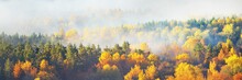 Breathtaking Panoramic Aerial View Of The Hills Of Colorful Red, Orange And Yellow Trees In A Majestic Evergreen Forest In A Morning Fog. Fairy Autumn Landscape. Gauja National Park, Sigulda, Latvia