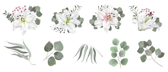 Wall Mural - Vector set of flowers and herbs. White lily, various plants, leaves, grass. Collection of greenery, eucalyptus.
