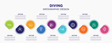 Diving Concept Infographic Design Template. Included Badger, Pond Skater, Grizzly Bear, Balloons, Wheelbarrow, Squid, Crosshair, Steering Wheel, Diving Watch For Abstract Background.