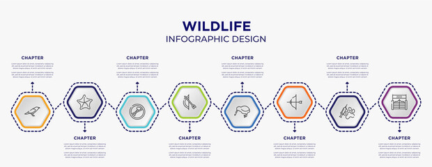 Poster - wildlife concept infographic template with 8 step or option. included crow, starfish, bow and arrow, kiwi, archery, zoo icons for abstract background.
